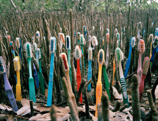 Illustration for article titled Artist's Trash Exhibitions Depict A Planet Colonized By Plastic